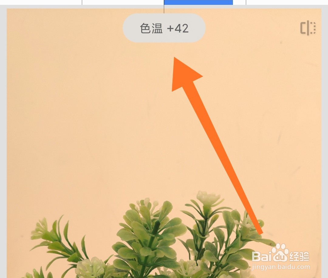 Snapseed怎么调整图片白平衡色温