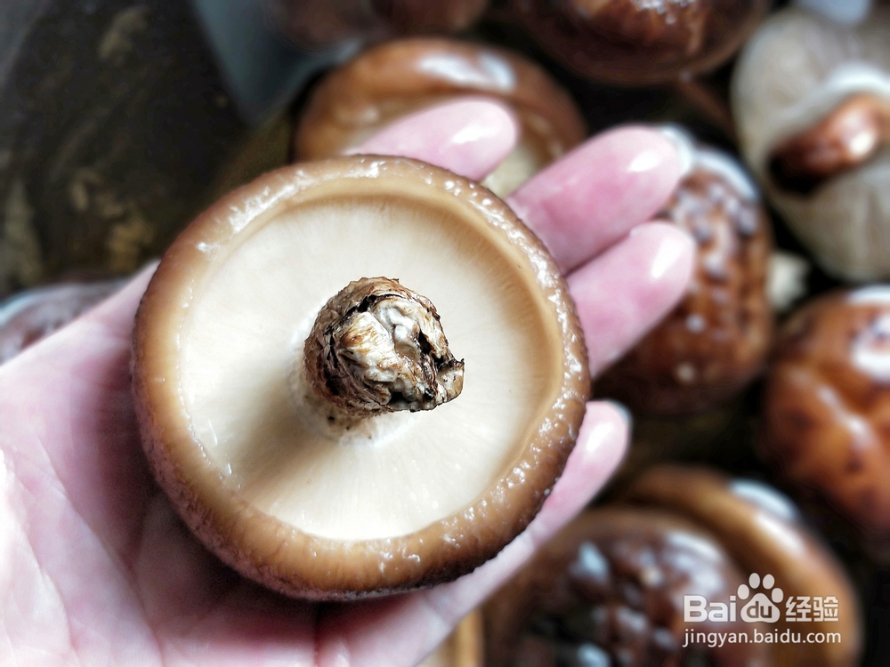 详细教你做鲜香菇酿肉