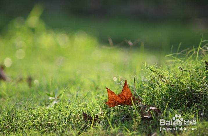 懂得放弃也是一种快乐