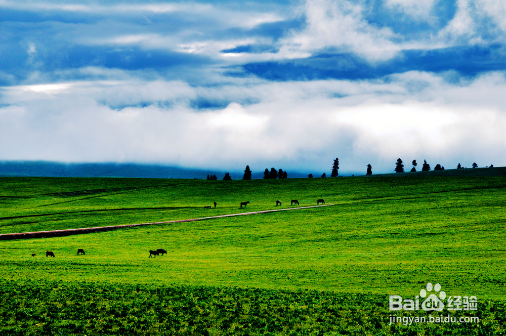 新疆天山，不仅有瀚海黄沙，更有雄伟壮阔