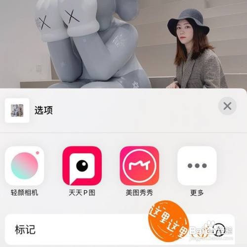 iPhone照片怎样使用放大器