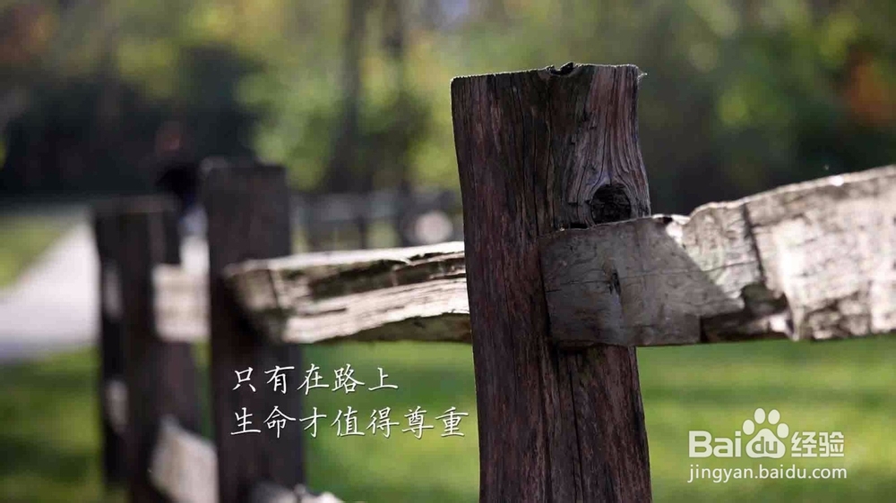 如何做一个独立的人？