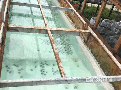 工业废水处理之高浓度总氮去除方法