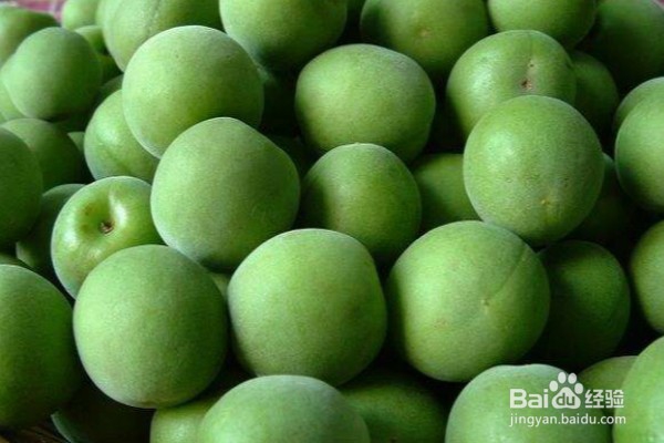 吃青梅可以给身体带来的8个好处