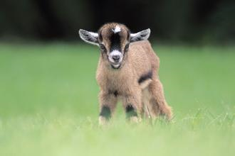 情人节讨女孩欢心宝典：[3]来首情诗也不错！