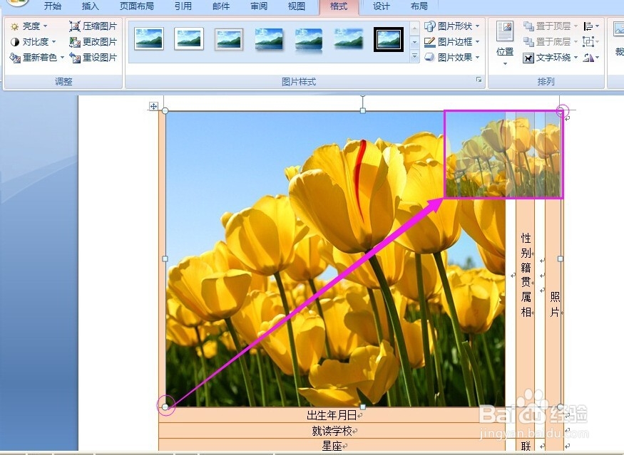 怎样在表格里插入图片
