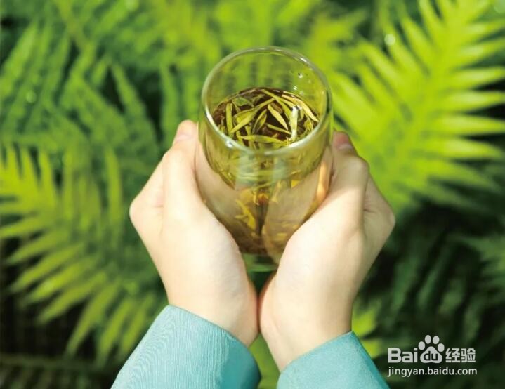 碧螺春的泡法是怎么样的?