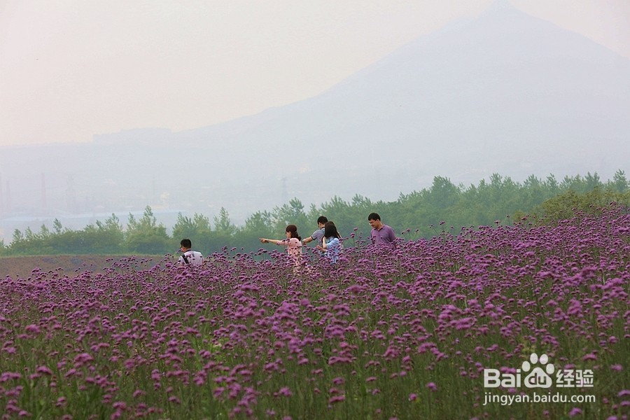十一金昌旅游5大旅游攻略