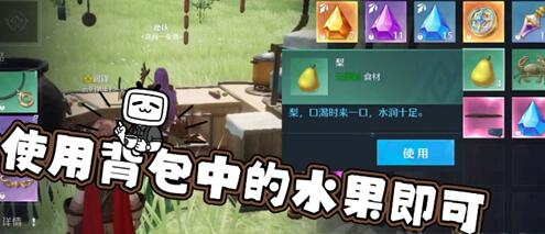 诺亚之心果肉怎么获得