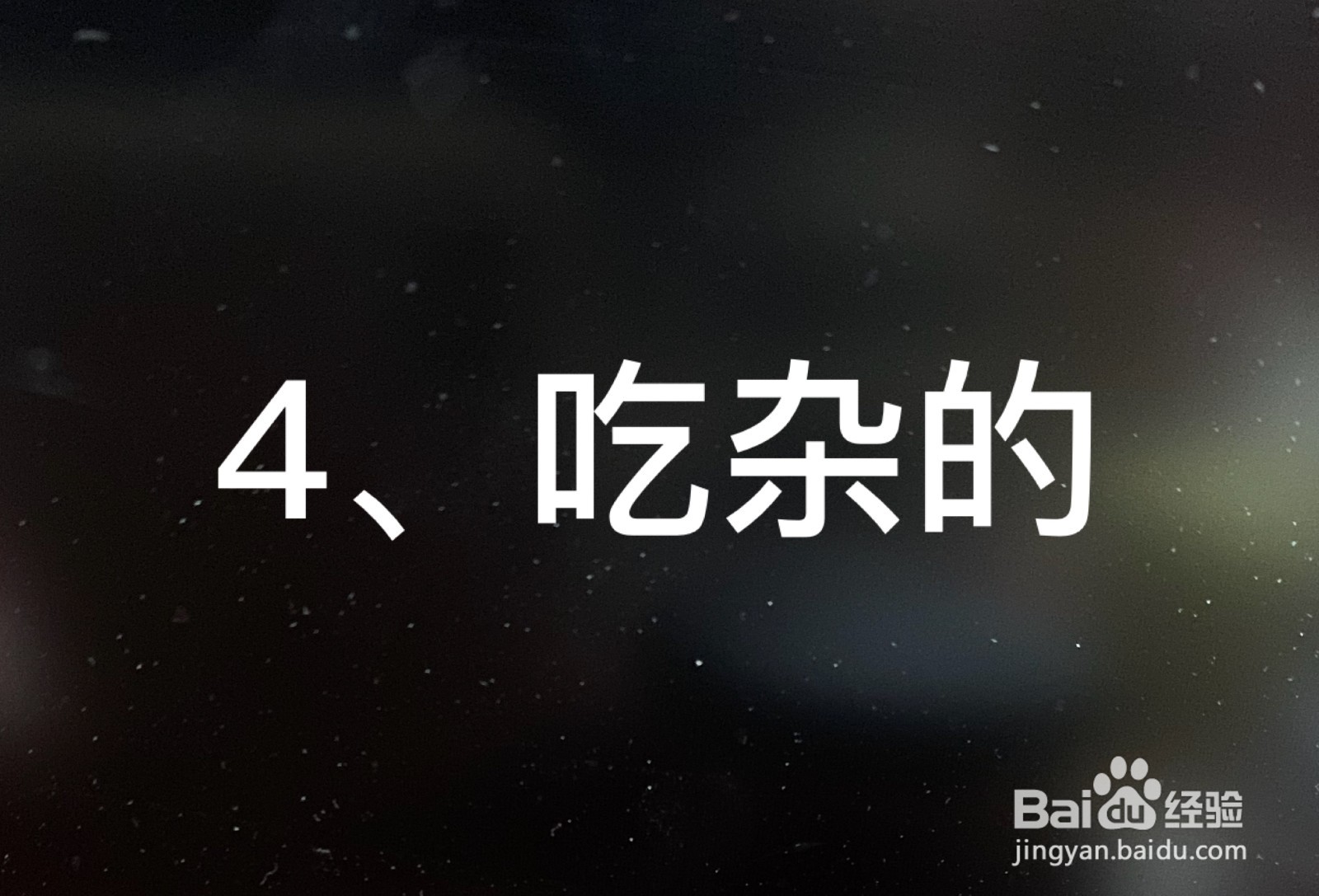 什么原因导致宝宝积食