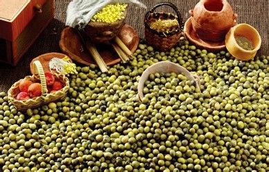 减肥最快最有效的秘诀怎么做