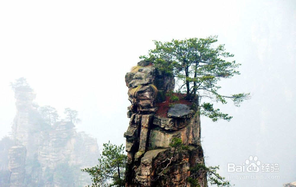 春节张家界旅游攻略