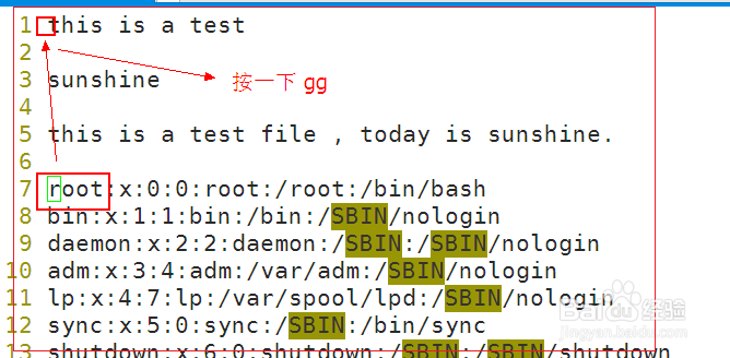 vim编辑器命令模式移动和复制操作