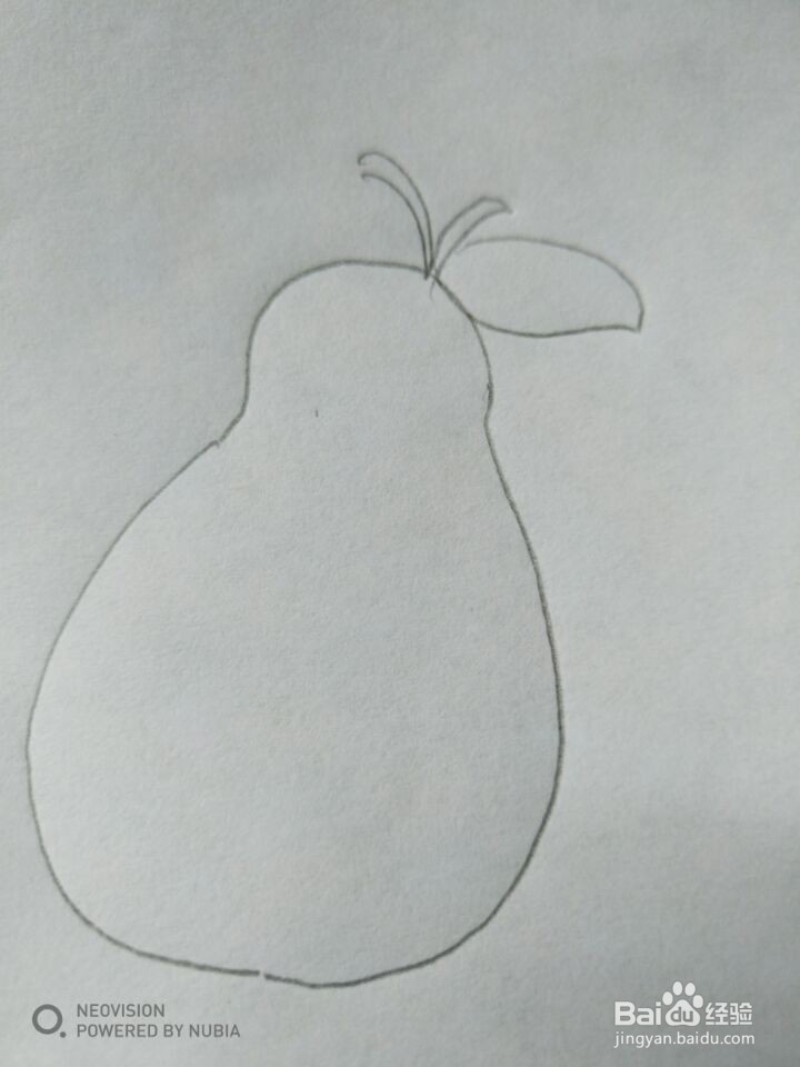 简单的梨子怎么画(五)