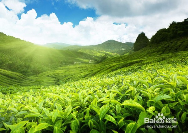 用空调要注意些什么