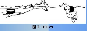 教你蝶泳技术详解