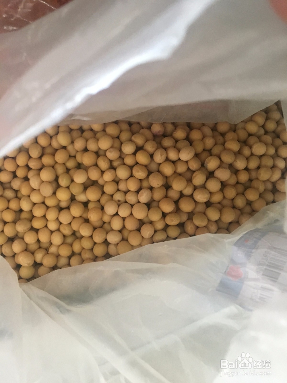 如何在家自己做豆浆