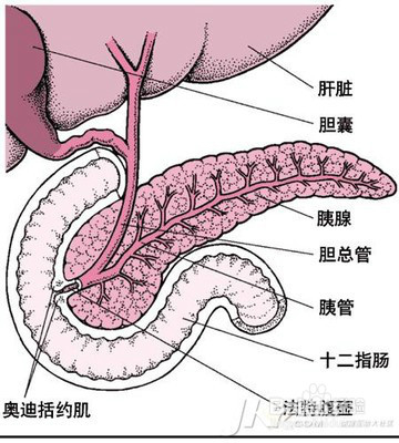 晚上吃多了有什么坏处?