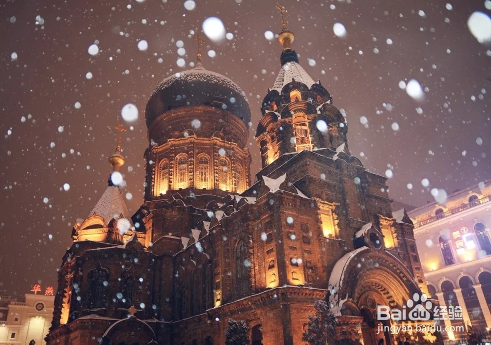 2019全球最佳跨年旅行地