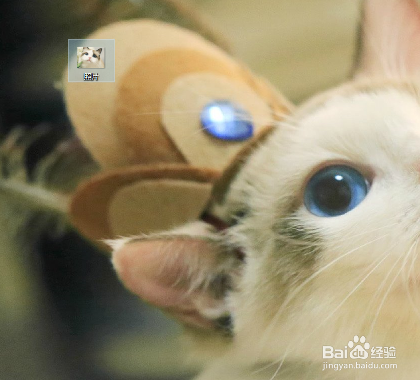 word图片打印总不完整怎么办？