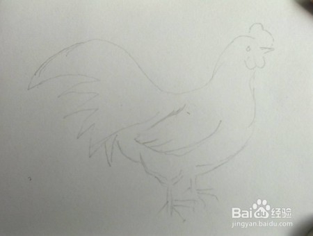 公鸡画法教程(1)亲子简笔画,怎么画公鸡