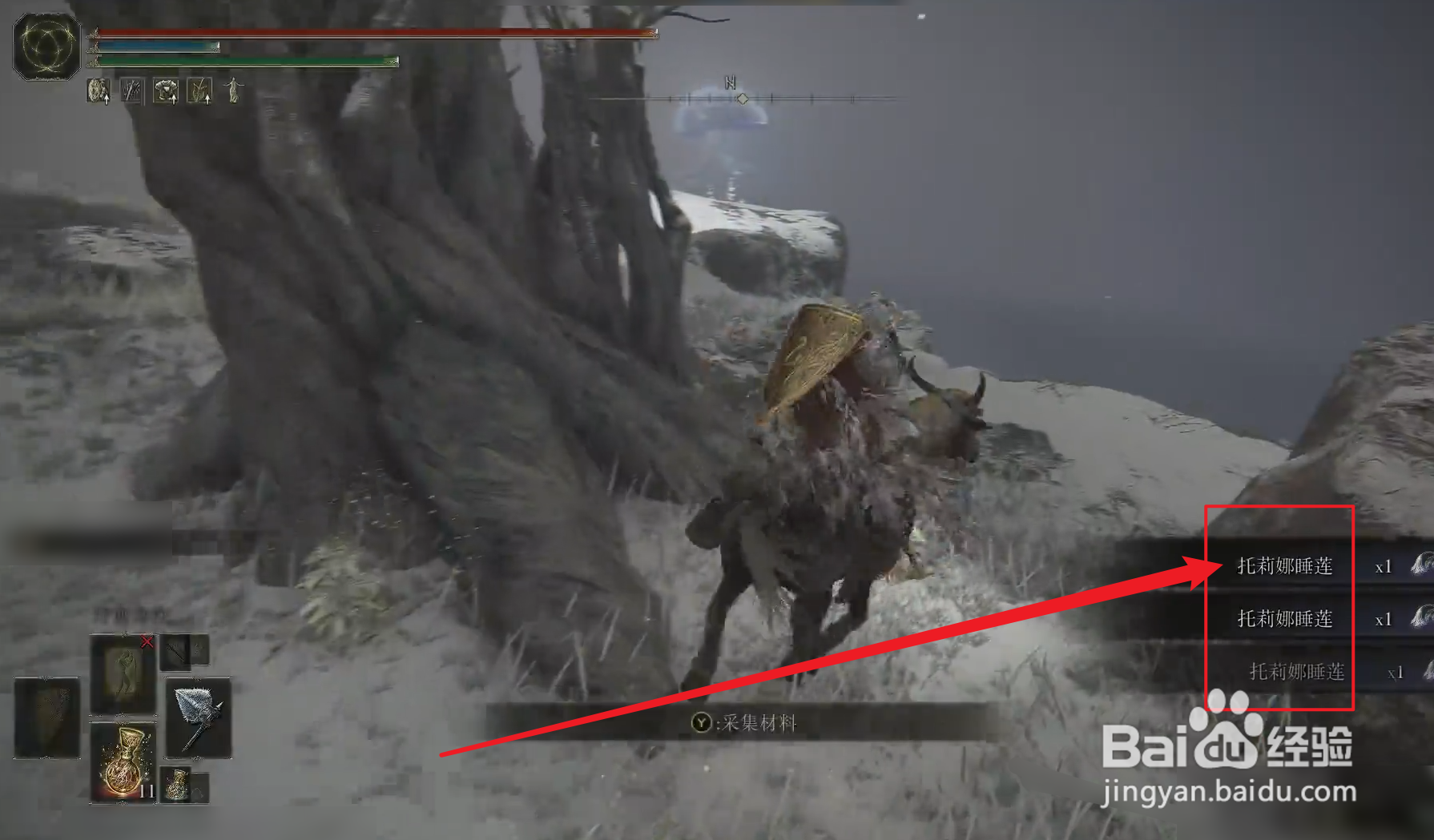 托莉娜睡莲采集位置推荐