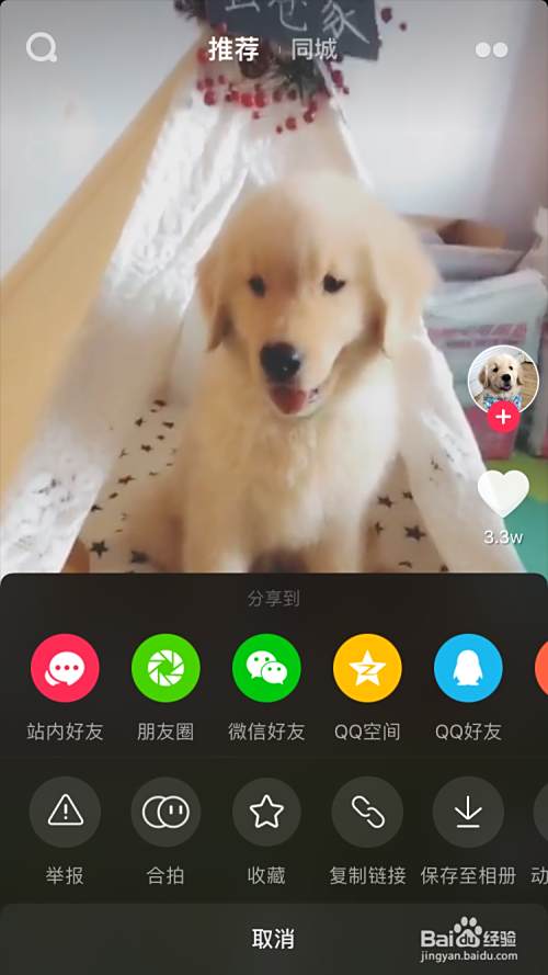 Iphone12 壁紙犬 壁紙トップ画像クール Iphone12 壁紙犬 壁紙トップ画像クール