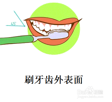刷牙齿的正确方法
