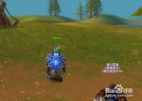 魔兽(怀旧攻略)幻象仪祭任务中先知之水怎么用