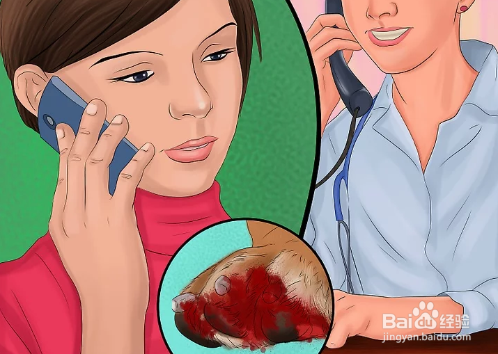 如何给狗狗的趾甲床止血