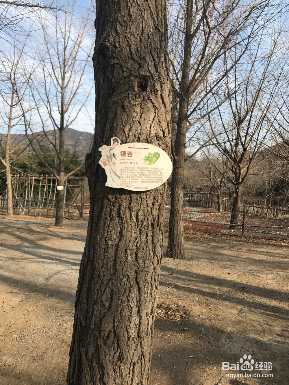 #过年#如何游玩曹雪芹纪念馆