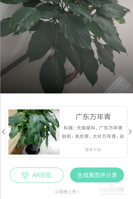 当不知道花的名字时,可用支付宝形色识花!