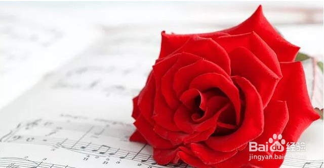 12星座动情到极致是怎样的？