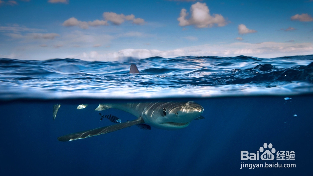 怎么快速测试Linux下HTTP接口服务是否正常