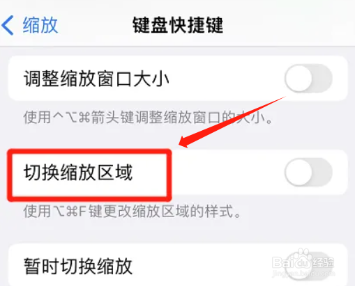 iphone怎么自动切换缩放区域