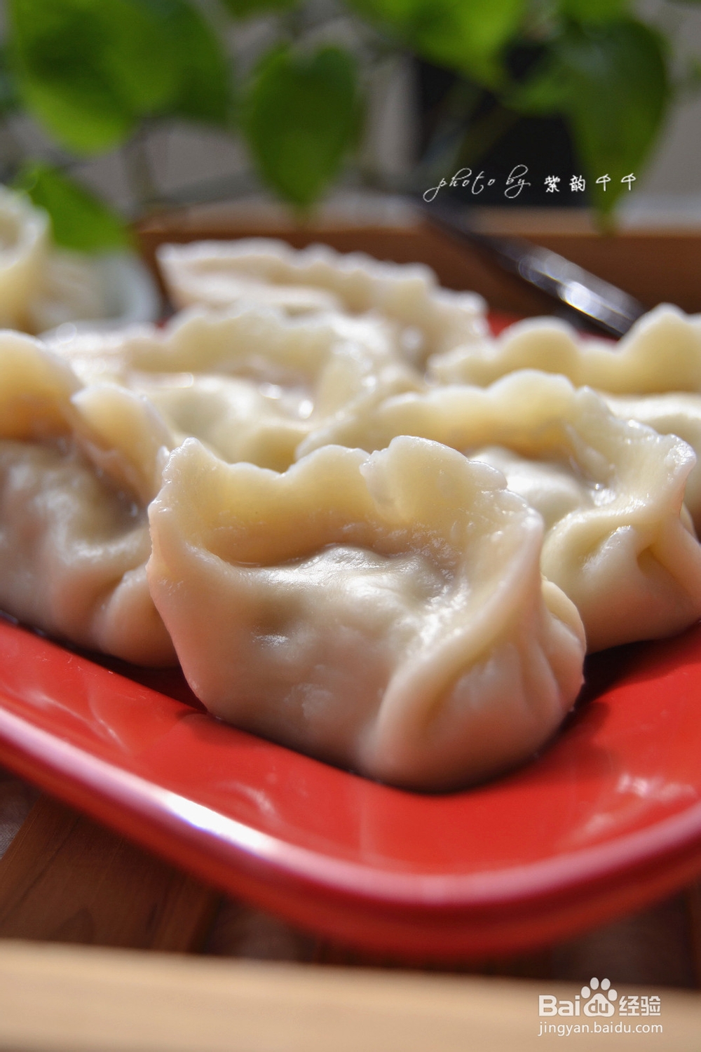 家常白萝卜猪肉饺子