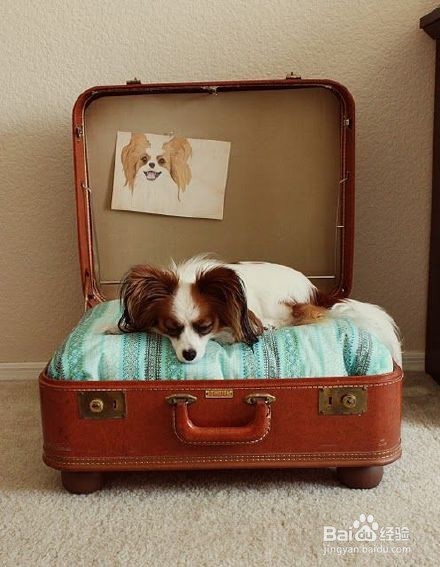 为什么你就是不相信,我不会带你去旅行?