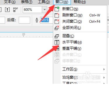 CorelDraw2019中如何展示两个页面