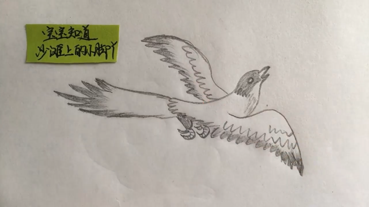长尾巴鸟简笔画怎么画