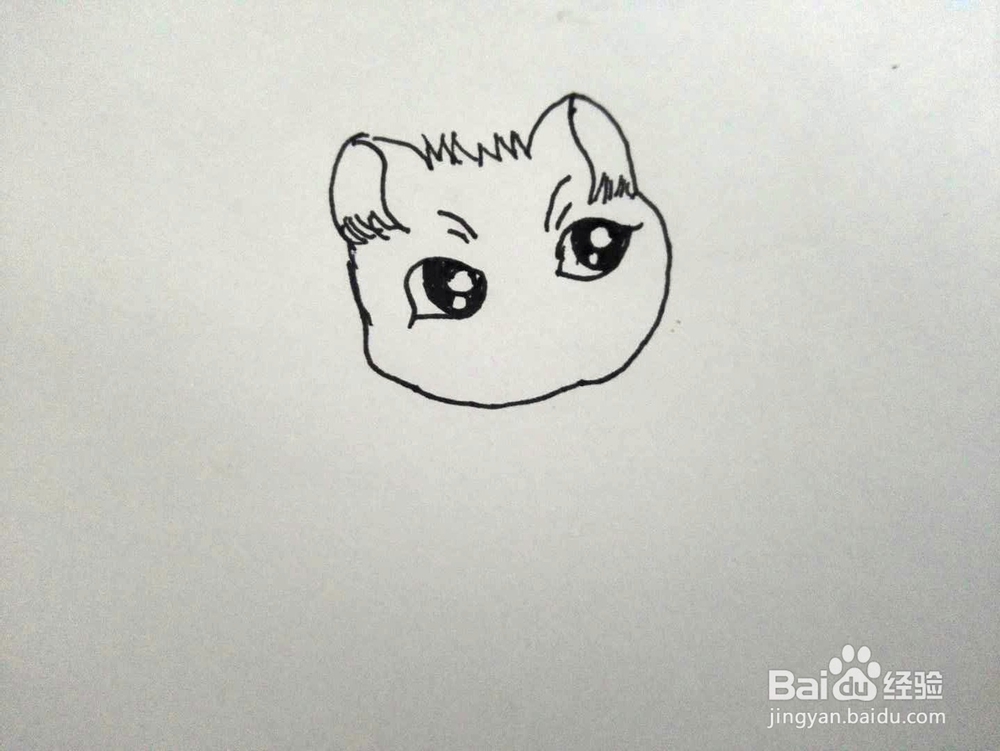 大眼睛猫咪的简笔画分享