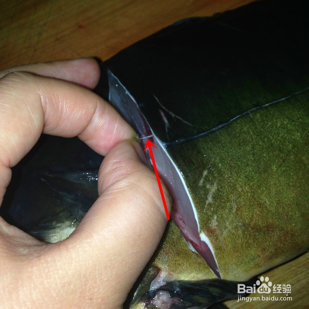 吃鲤鱼如何给鲤鱼抽筋?