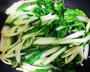 健康养生佳品鲜嫩小白菜