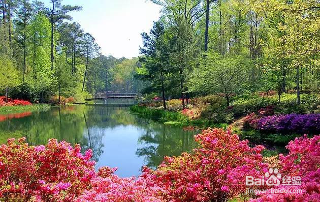 美国租车去哪玩?美国租车最强景点攻略!