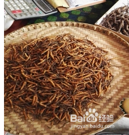 高价回收冬虫夏草?是功效还是利益?