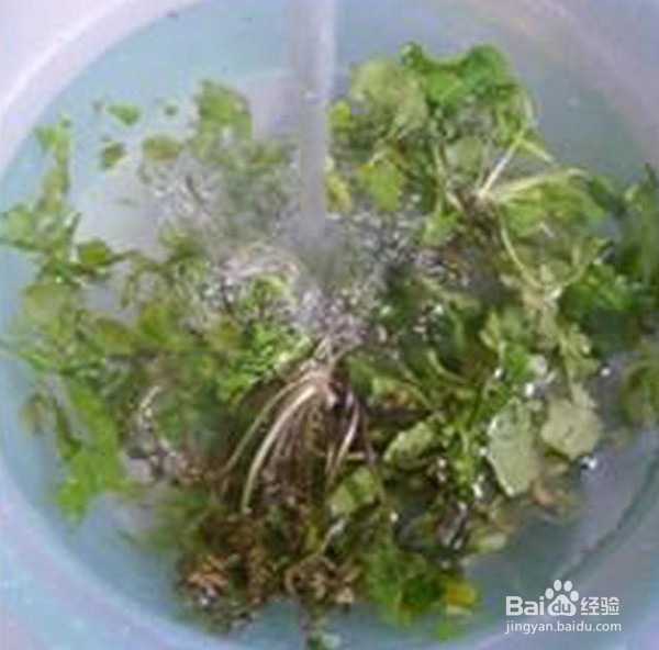 荠菜肉馅煎饺做法