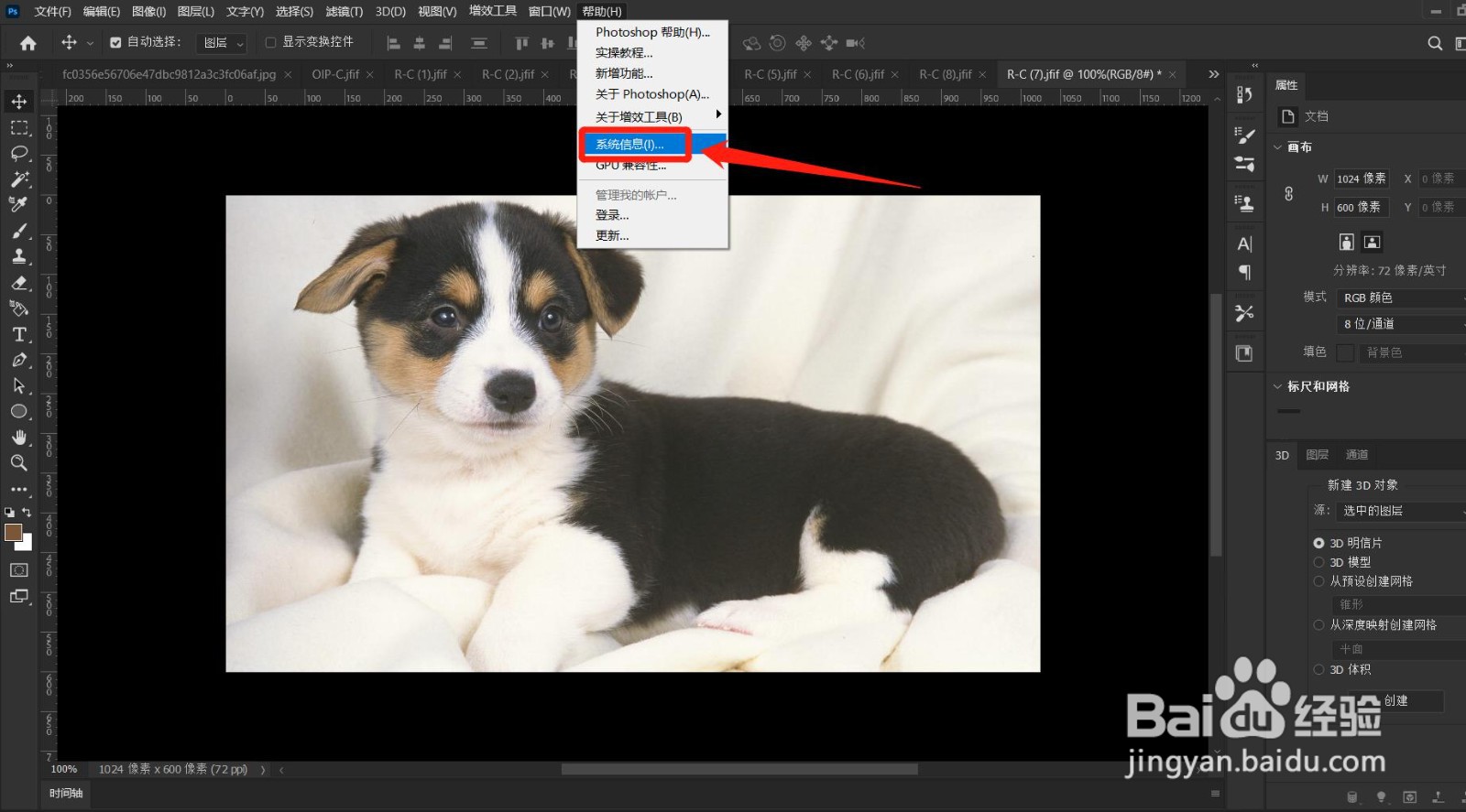 PS(Photoshop2022)如何查看软件启动次数
