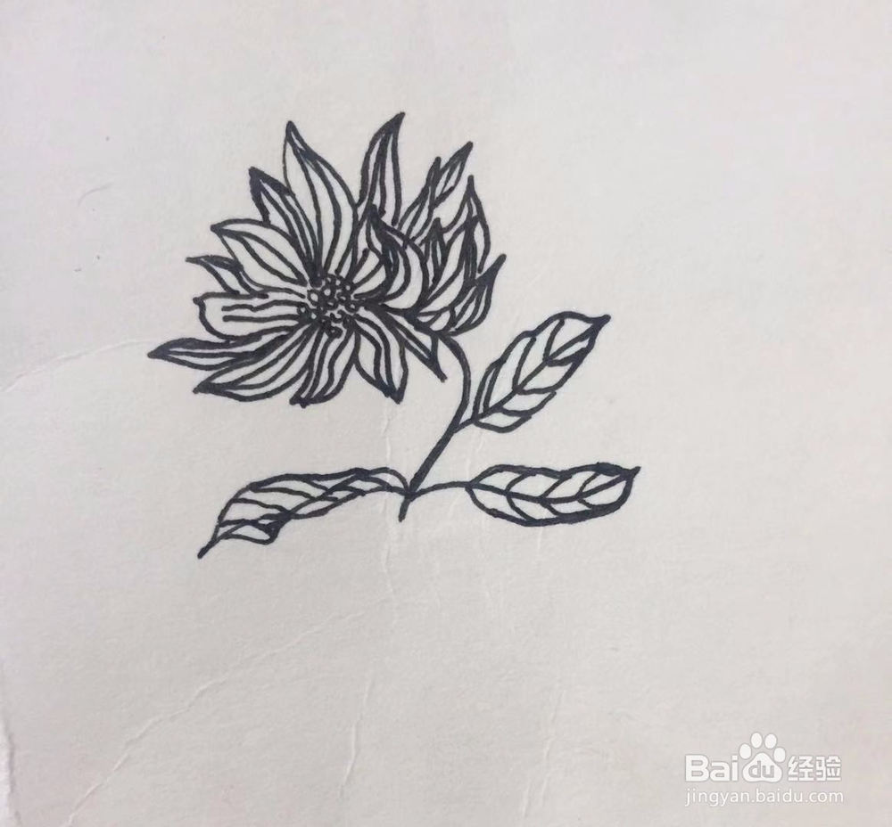 茉莉手绘之花瓶里的鲜花