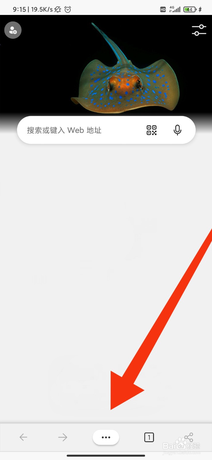 Edge怎么设置强制启用缩放