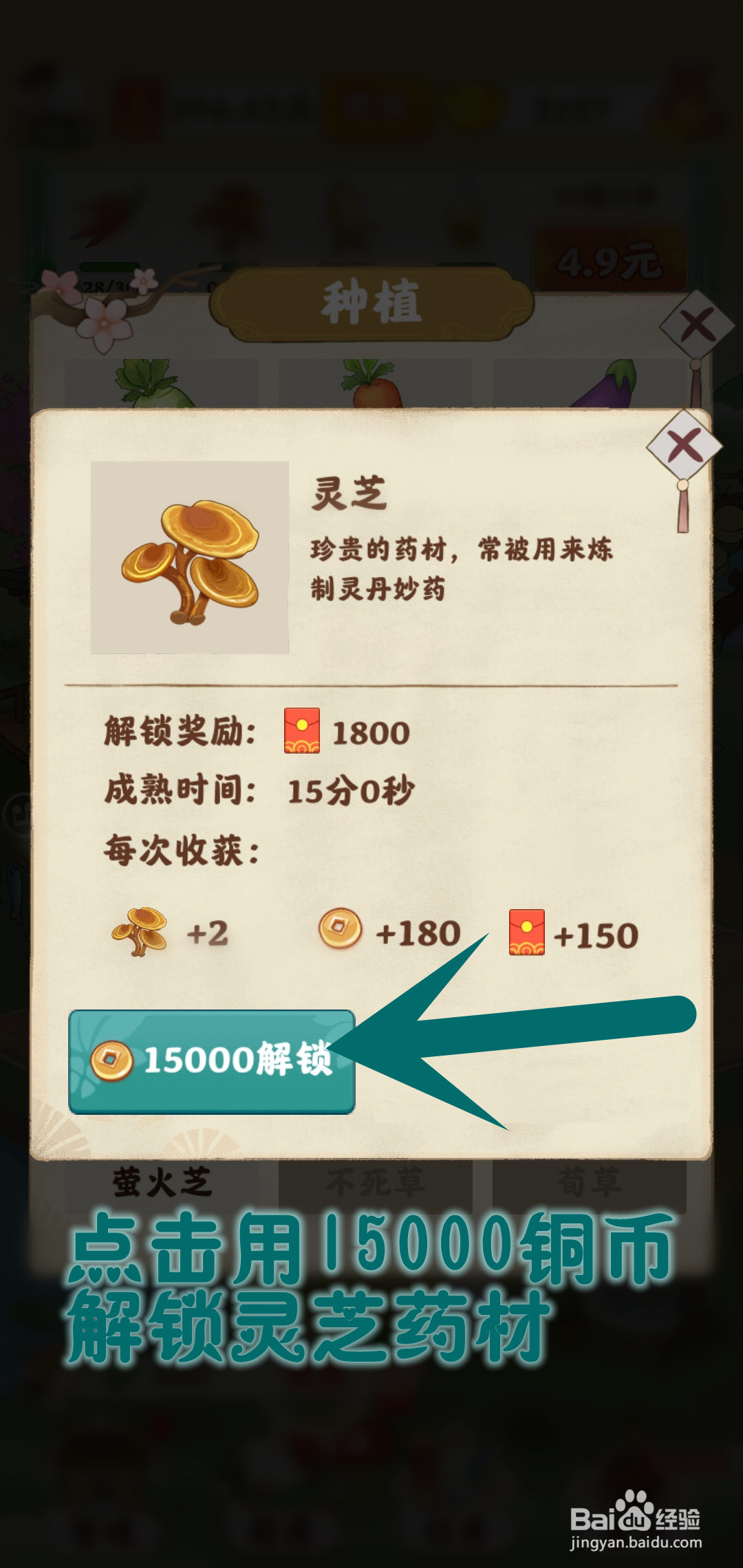 如何在仙山小筑游戏里种植灵芝药材