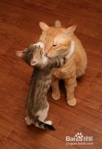 出国旅游应该知道的旅游禁忌(五)